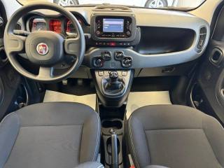 FIAT Panda usata, con Fendinebbia