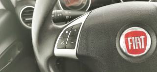 FIAT Punto usata 43