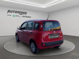 FIAT Panda usata 5