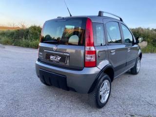 FIAT Panda usata, con Cerchi in lega