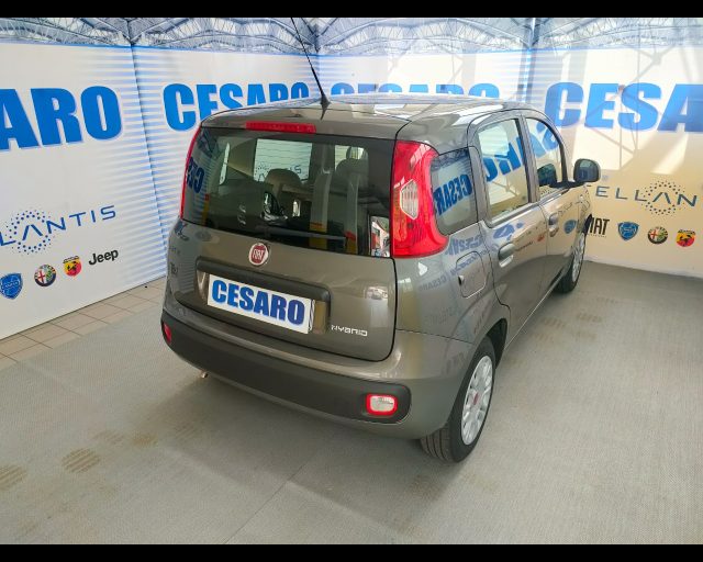 FIAT New Panda usata, con Airbag Passeggero