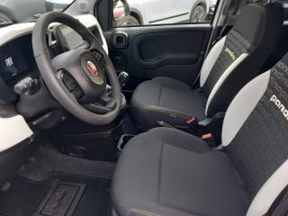 FIAT Panda usata, con Immobilizzatore elettronico
