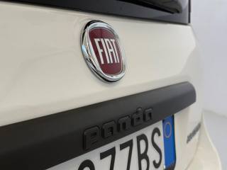 FIAT Panda Cross usata 17