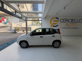 FIAT Panda usata, con Airbag Passeggero