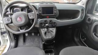 FIAT New Panda usata, con Servosterzo