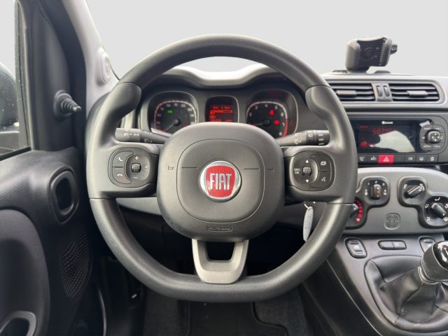 FIAT Panda usata 12
