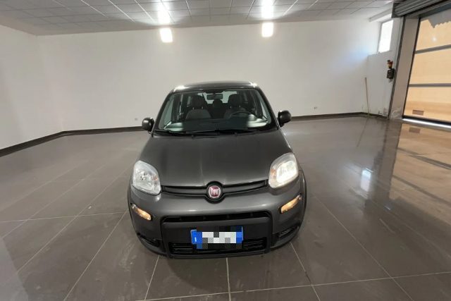 FIAT Panda usata, con Fendinebbia