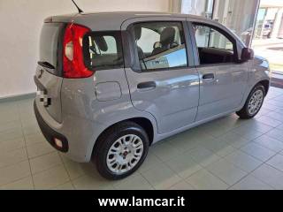 FIAT Panda usata, con Immobilizzatore elettronico