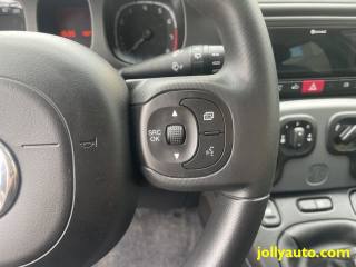 FIAT Panda usata 24