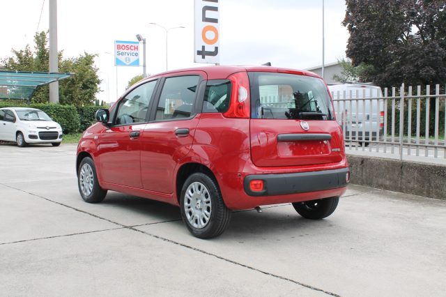 FIAT Panda usata, con Alzacristalli elettrici