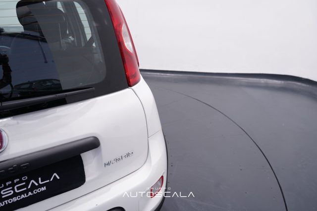 FIAT New Panda usata 27