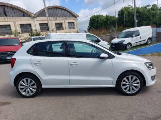 VOLKSWAGEN Polo 1.2 TDI DPF 5 p.