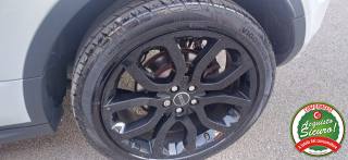 LAND ROVER Range Rover Evoque usata, con Filtro antiparticolato