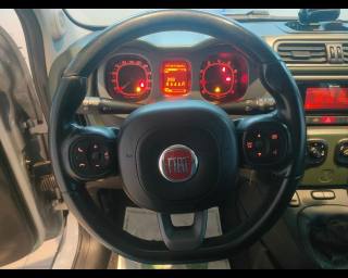 FIAT New Panda usata, con Controllo automatico clima