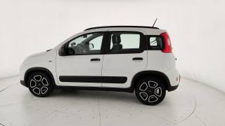 FIAT Panda usata 33