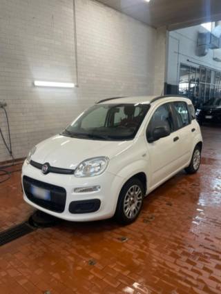 FIAT Panda usata, con Controllo trazione