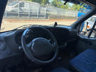 IVECO Daily usata 8