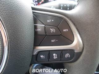 JEEP Renegade usata, con Luci diurne LED