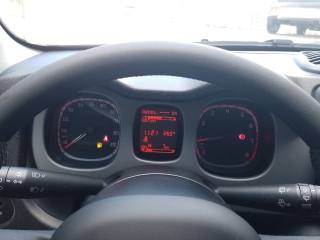 FIAT Panda usata, con Airbag Passeggero