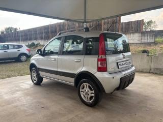 FIAT Panda usata, con Alzacristalli elettrici