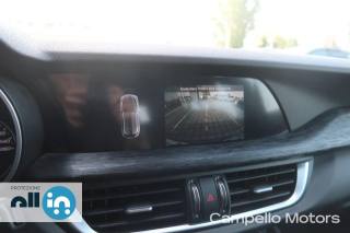 ALFA ROMEO Stelvio usata 10