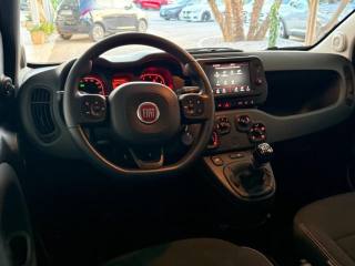 FIAT Panda Cross usata, con Airbag testa