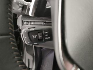 PEUGEOT 3008 usata, con Fendinebbia