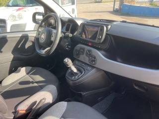 FIAT Panda usata 11