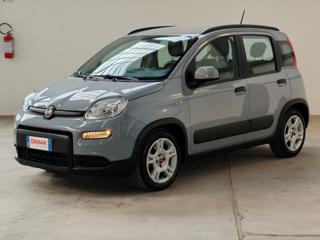 FIAT Panda usata, con Airbag Passeggero