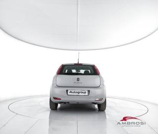 FIAT Punto usata 5