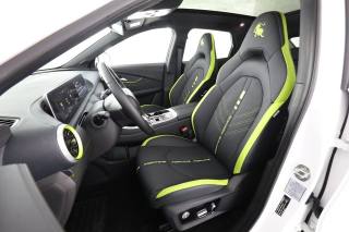 FORTHING Friday HEV usata 8