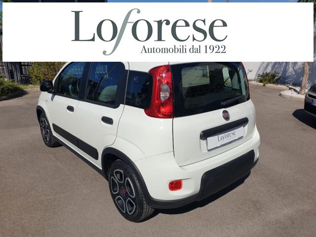 FIAT Panda usata, con Antifurto