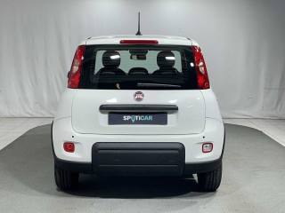 FIAT Panda usata, con Antifurto
