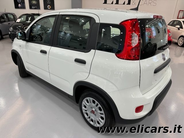 FIAT Panda usata, con Antifurto