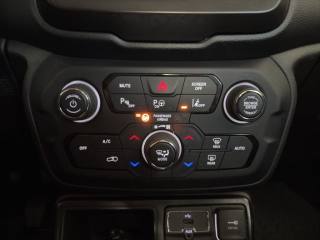 JEEP Renegade usata, con Autoradio digitale