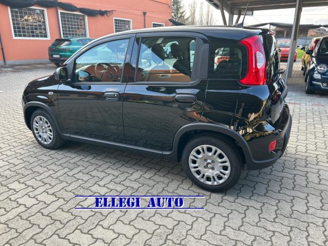 FIAT Panda usata, con Chiusura centralizzata