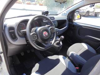 FIAT Panda usata 20