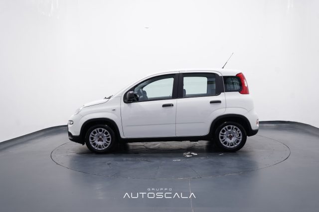 FIAT New Panda usata, con Airbag Passeggero
