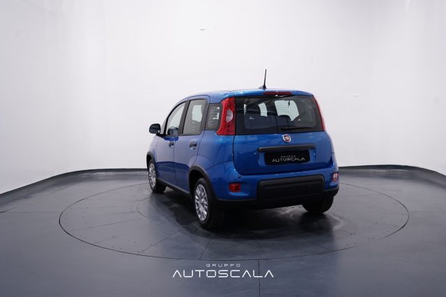 FIAT Panda usata, con Alzacristalli elettrici