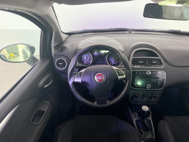 FIAT Punto usata 12