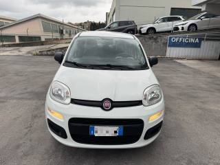 FIAT Panda usata, con Airbag