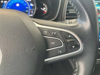 RENAULT Megane usata 17