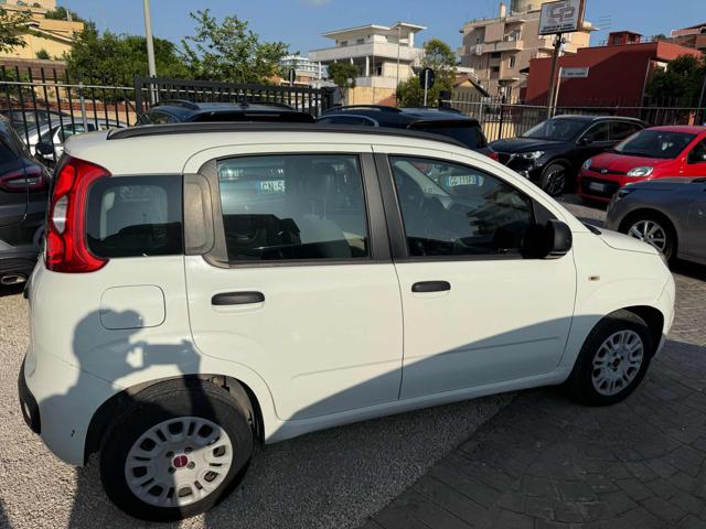 FIAT Panda usata, con Fendinebbia