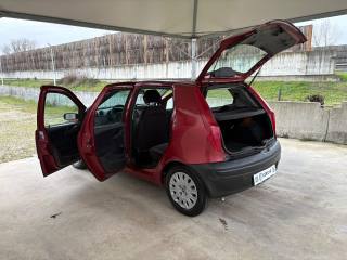 FIAT Punto usata 39