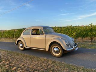 VOLKSWAGEN Maggiolino usata 5