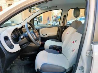 FIAT Panda usata, con Immobilizzatore elettronico