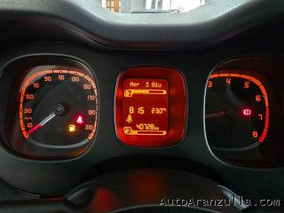 FIAT Panda usata, con Chiusura centralizzata telecomandata