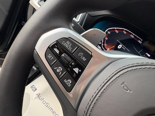 BMW X4 usata, con Vetri oscurati