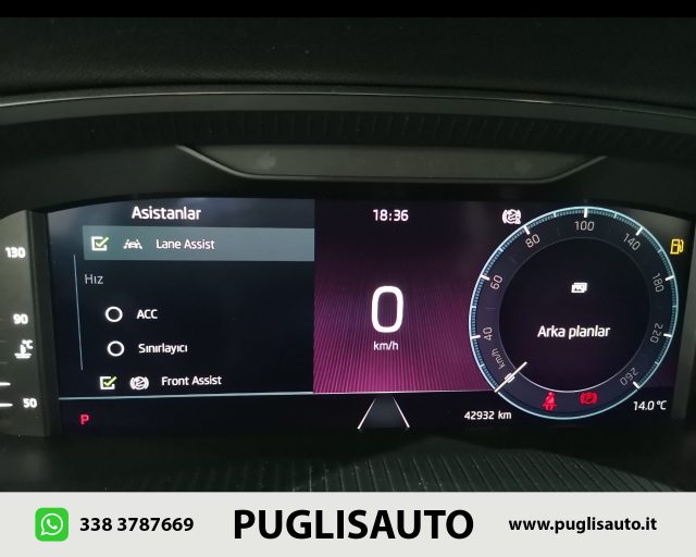 SKODA Octavia usata, con Fendinebbia