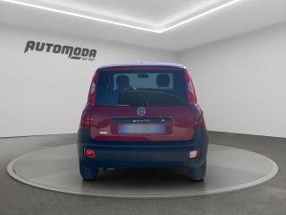 FIAT Panda usata, con Controllo trazione